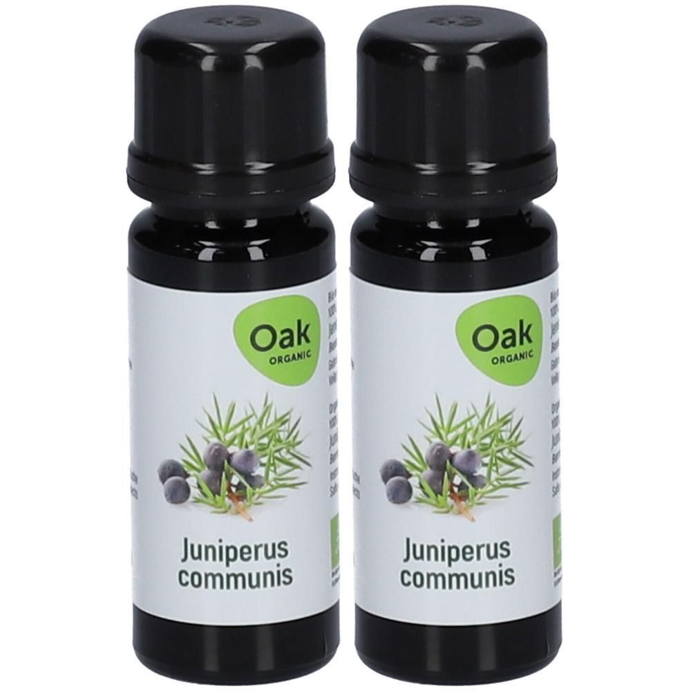 Deux flacons d'huile essentielle Oak Juniperus communis. Avec branches et baies de genévrier.