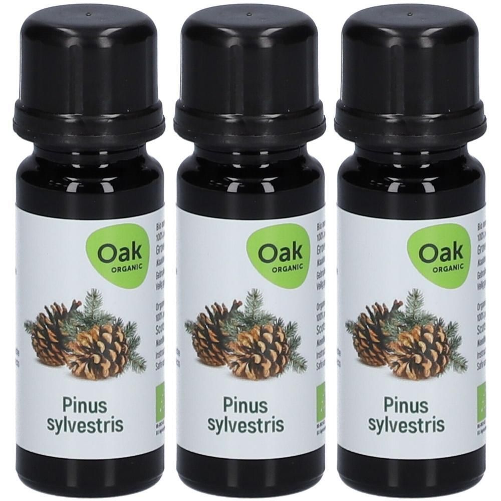 Drie flessen Oak Organic Pinus sylvestris etherische olie met illustratie van dennenappels.
