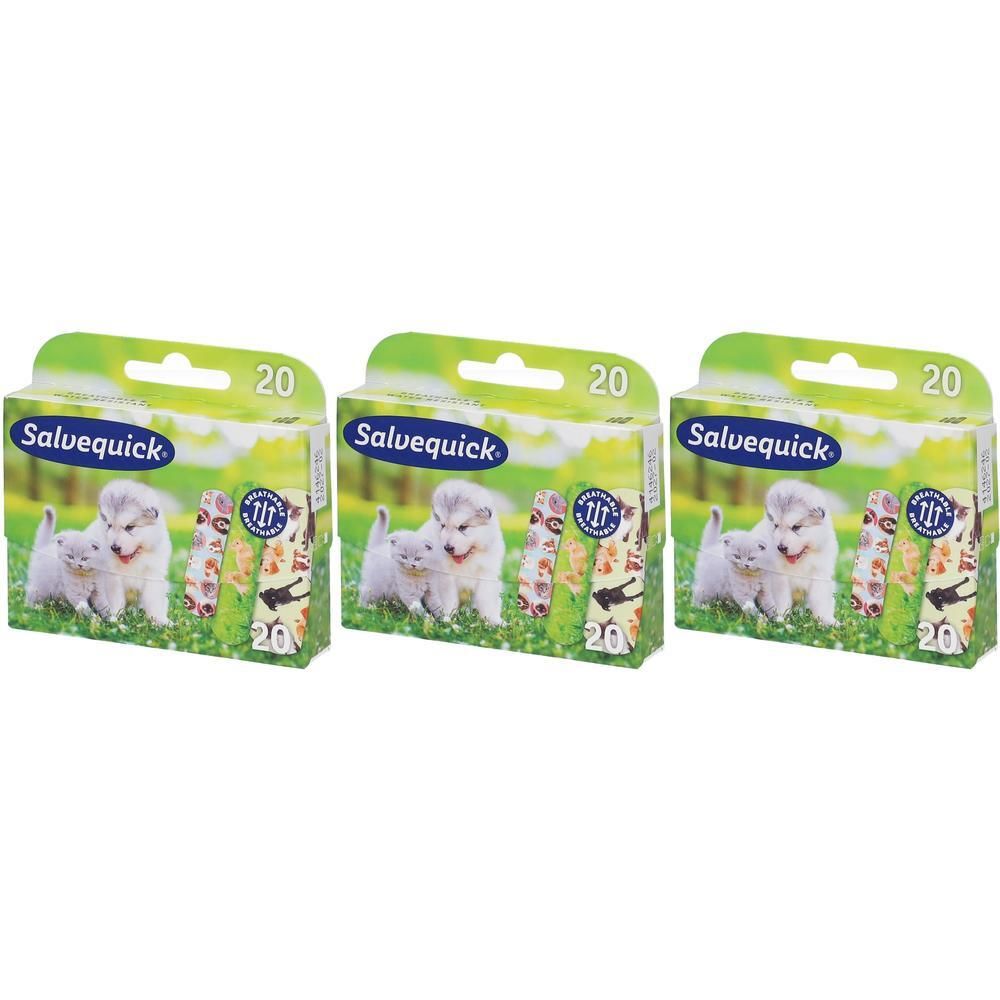 Trois paquets de pansements Salvequick, 20 par paquet, avec des chiots et des chatons.