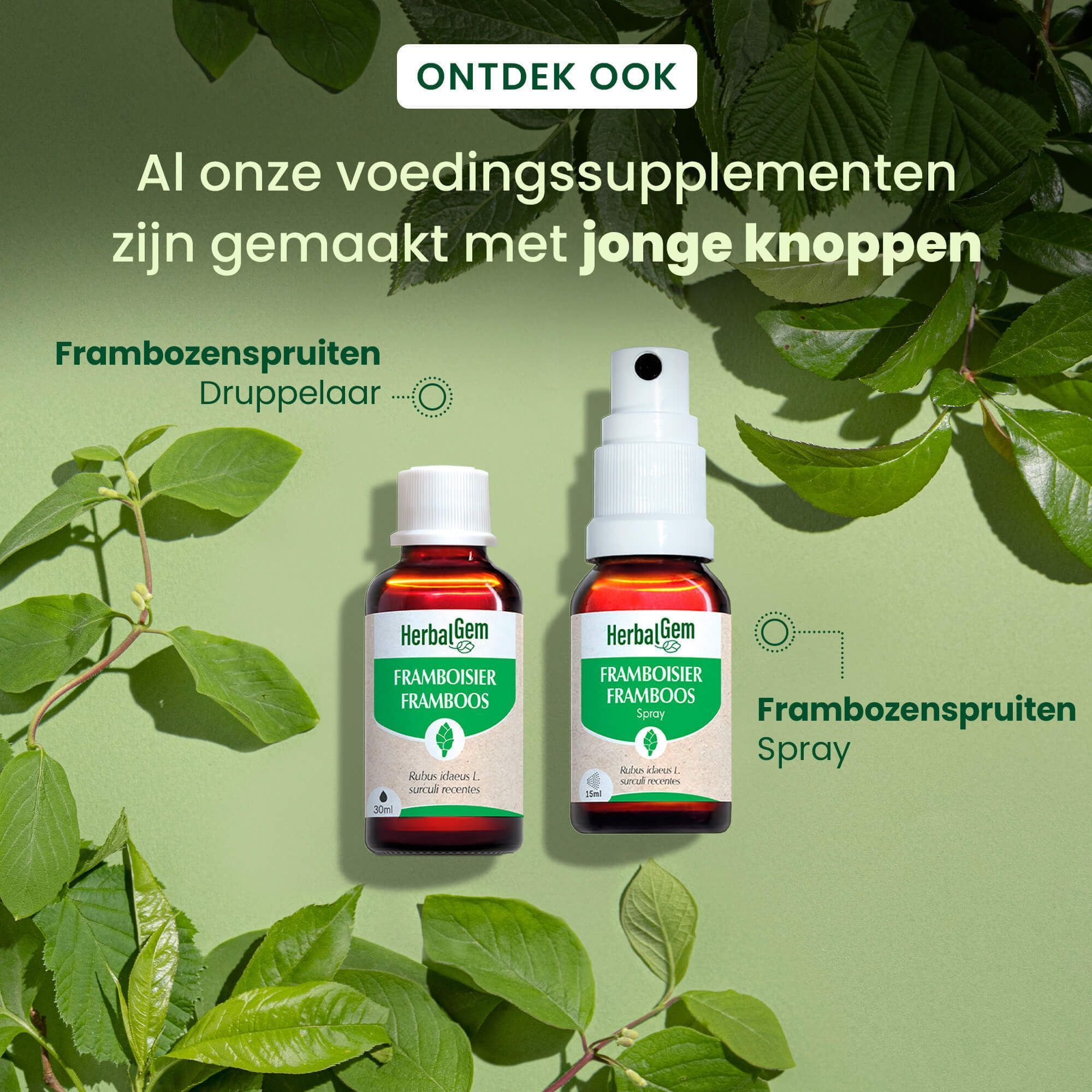 HerbalGem Framboos druppelflesje en sprayflesje naast groene bladeren.