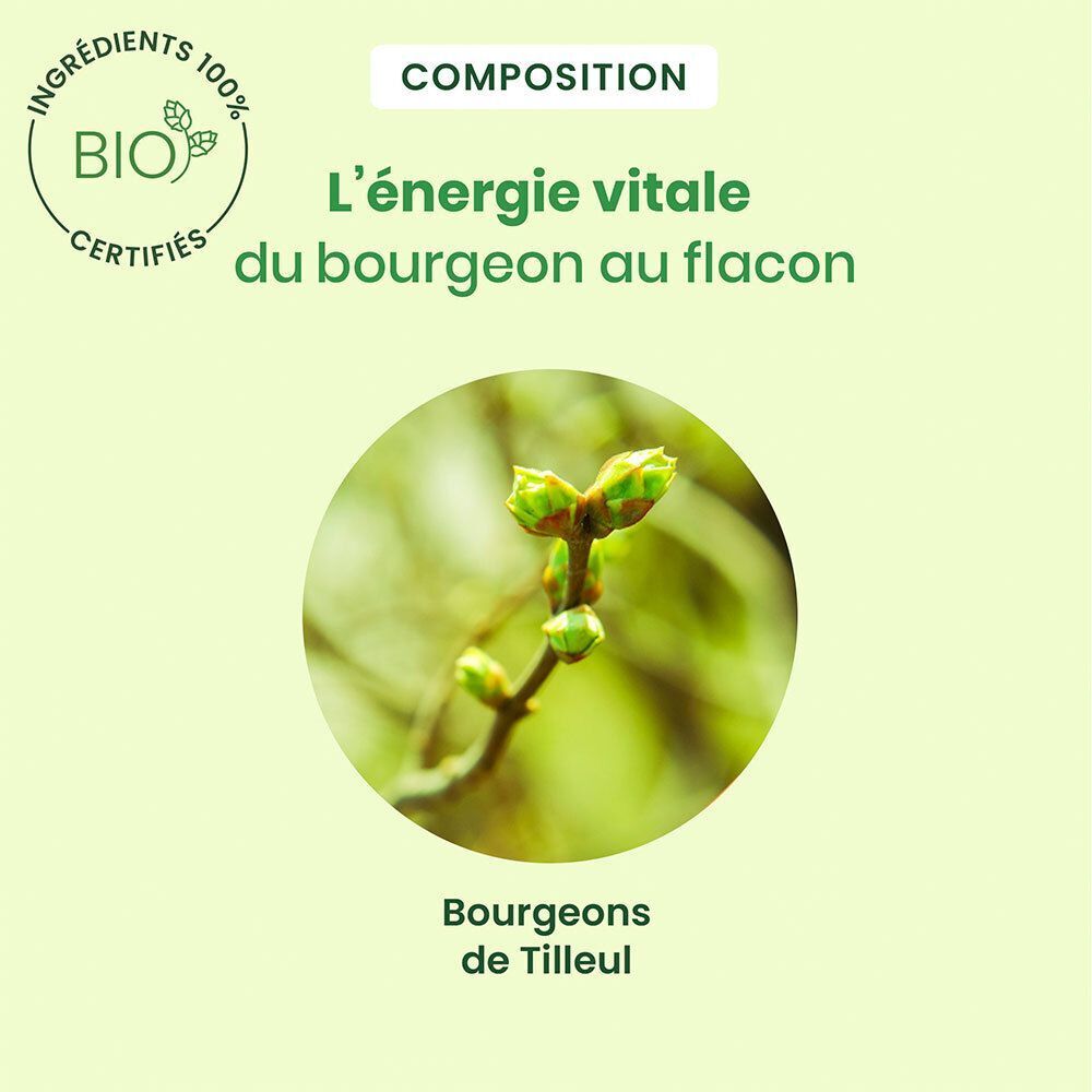HerbalGem Tilleul Bio Spray: Concentré de bourgeons de tilleul frais.