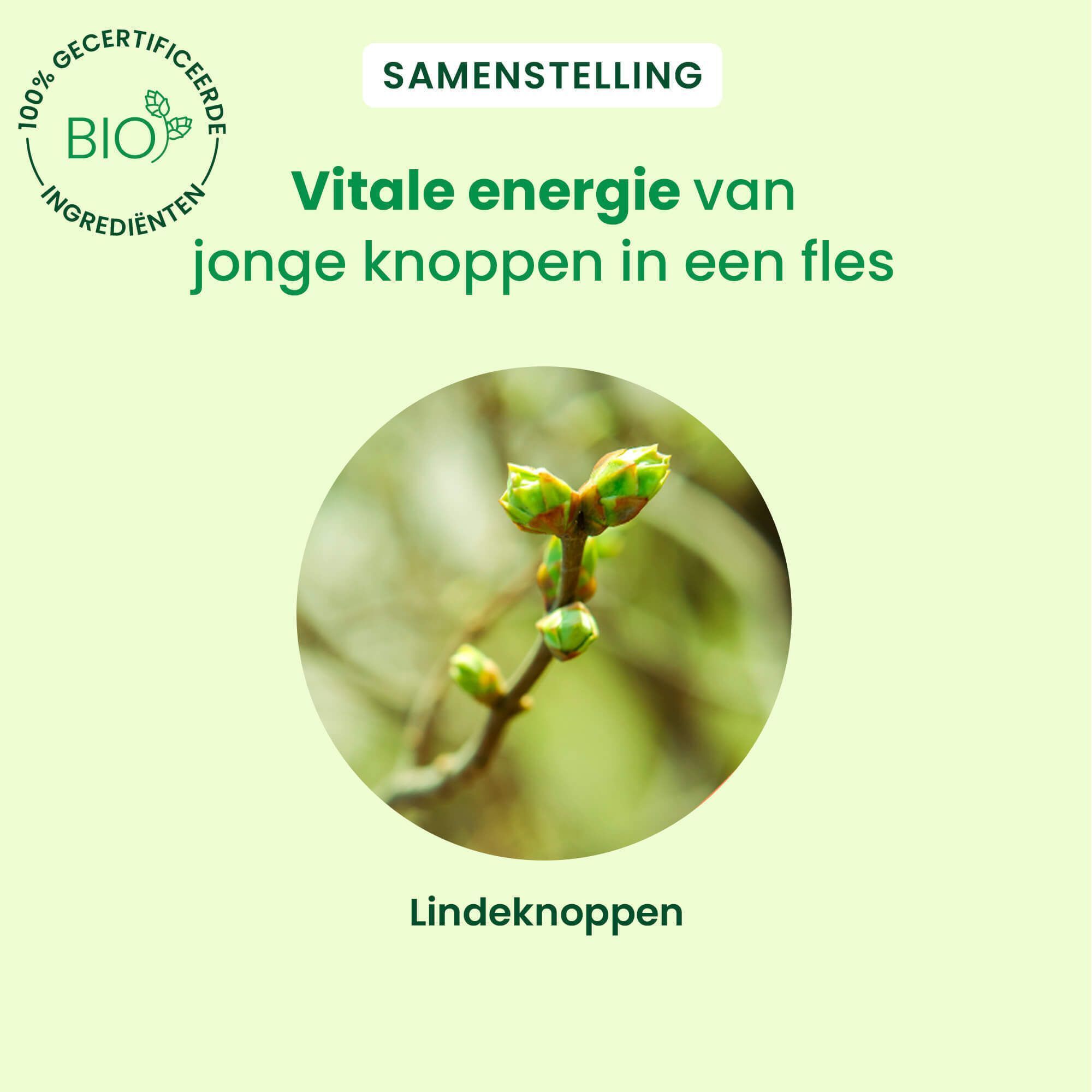 HerbalGem Tilleul Bio Spray: Concentraat van verse lindeknoppen.