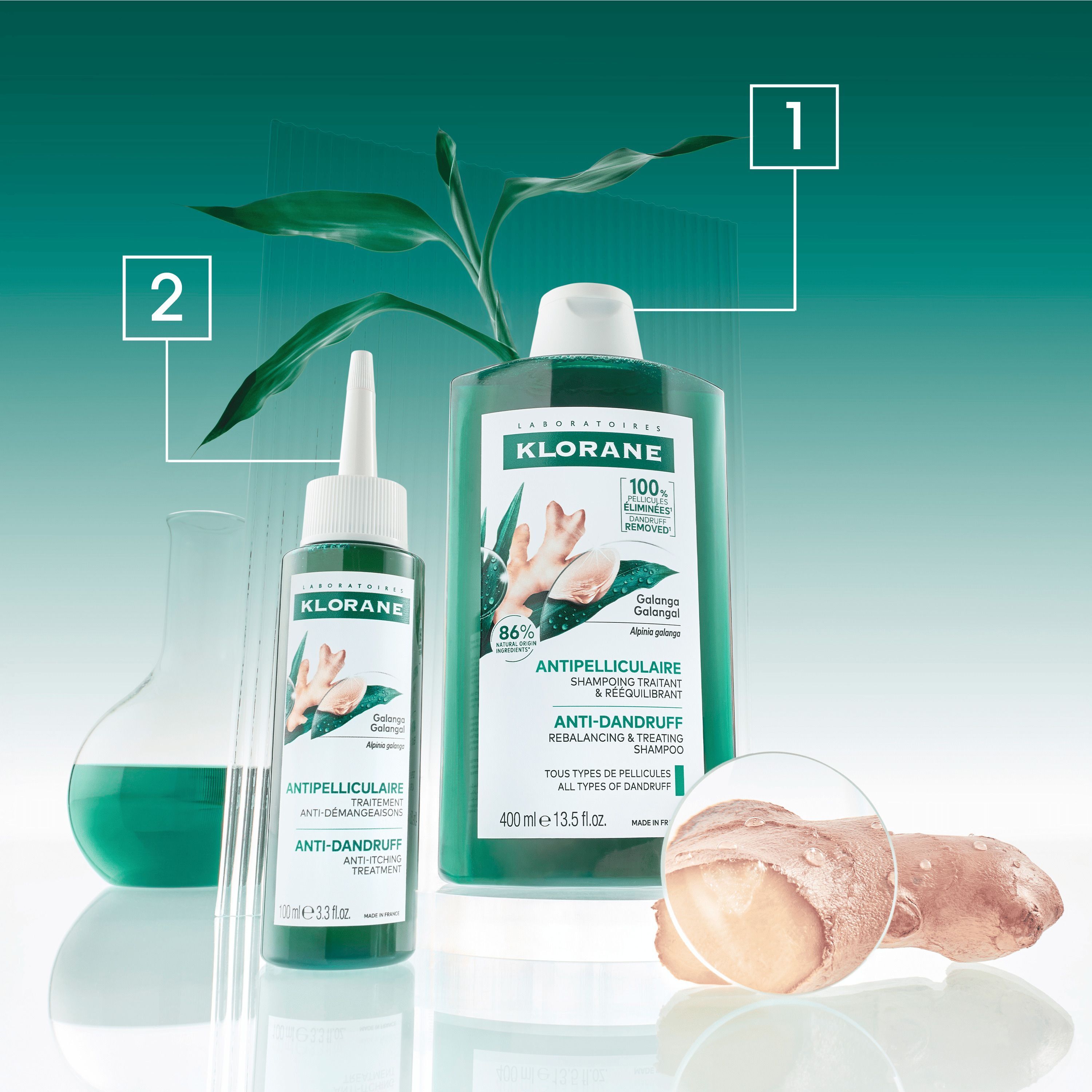 Klorane Traitement Antipelliculaire (100ml) et Shampooing (400ml) avec plante et racine de galanga.