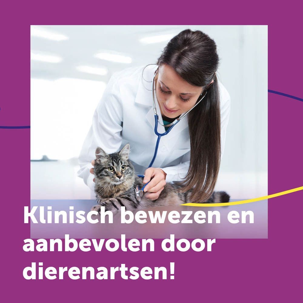 Dierenarts onderzoekt kat; Feliway Help is klinisch bewezen en aanbevolen.