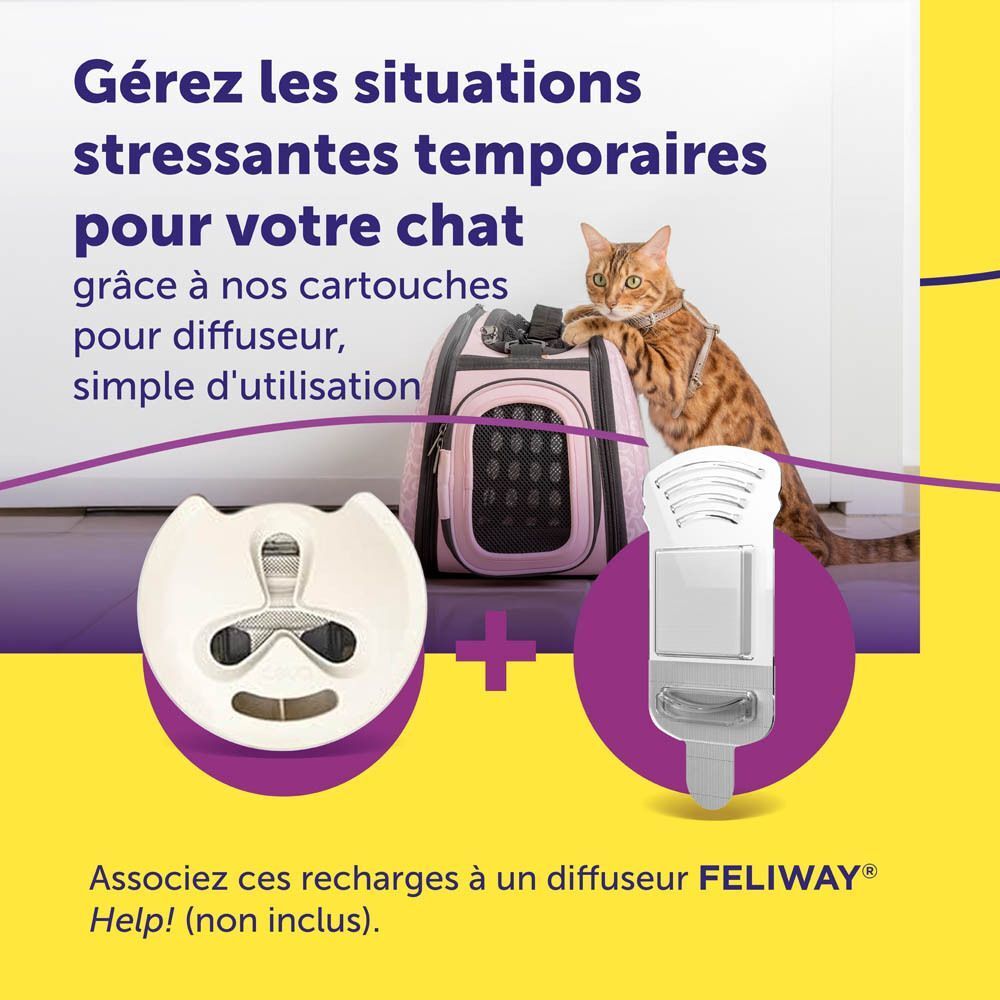Gérez le stress de votre chat avec nos cartouches pour diffuseur.