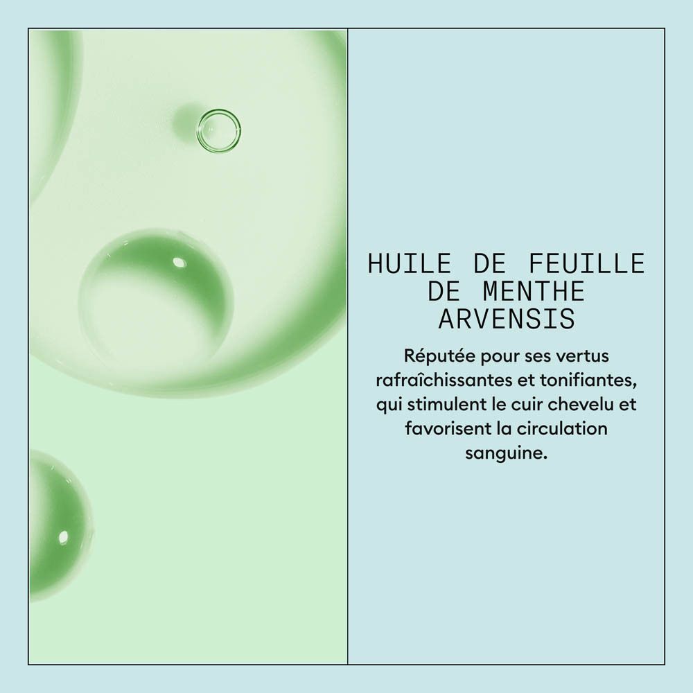 Gros plan de bulles vertes et texte sur l'huile de feuille de menthe.