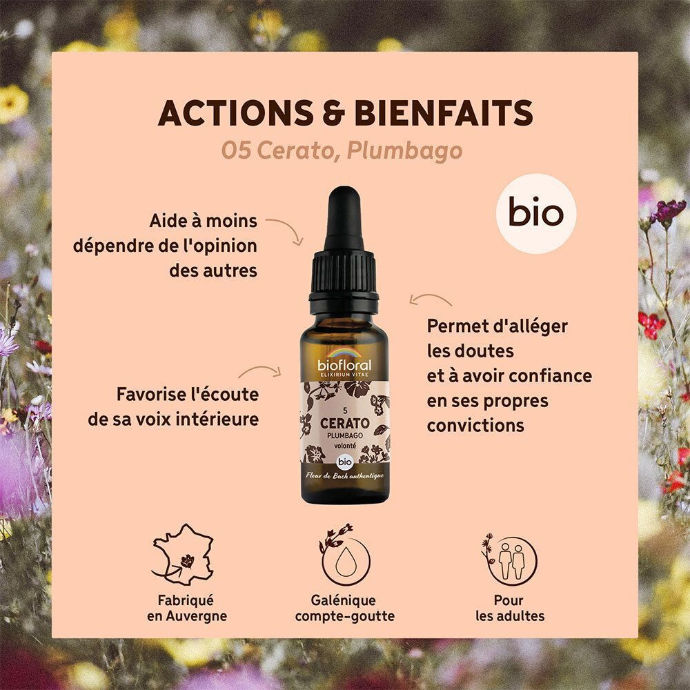 Flacon BIOFLORAL 05 Cerato Plumbago avec pipette, entouré de textes et icônes sur les actions et bienfaits.