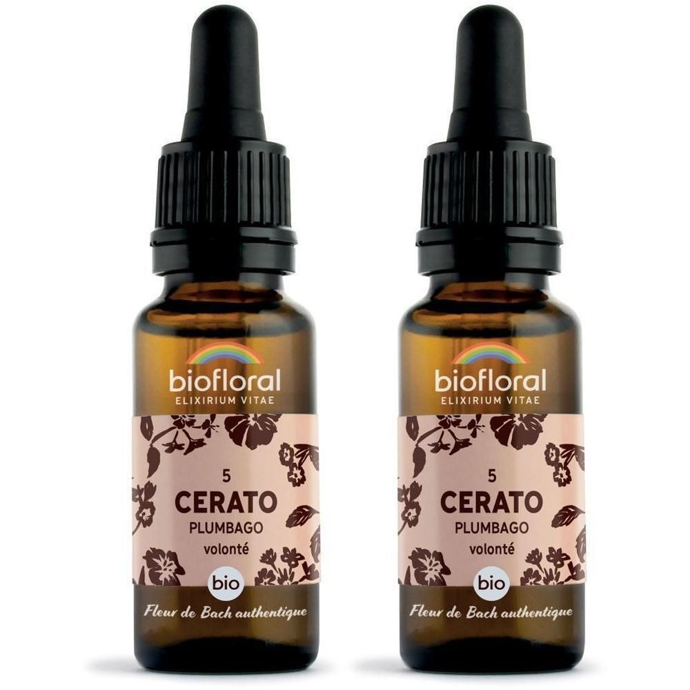 Twee glazen flesjes met druppelaar, gevuld met BIOFLORAL 05 Cerato.
