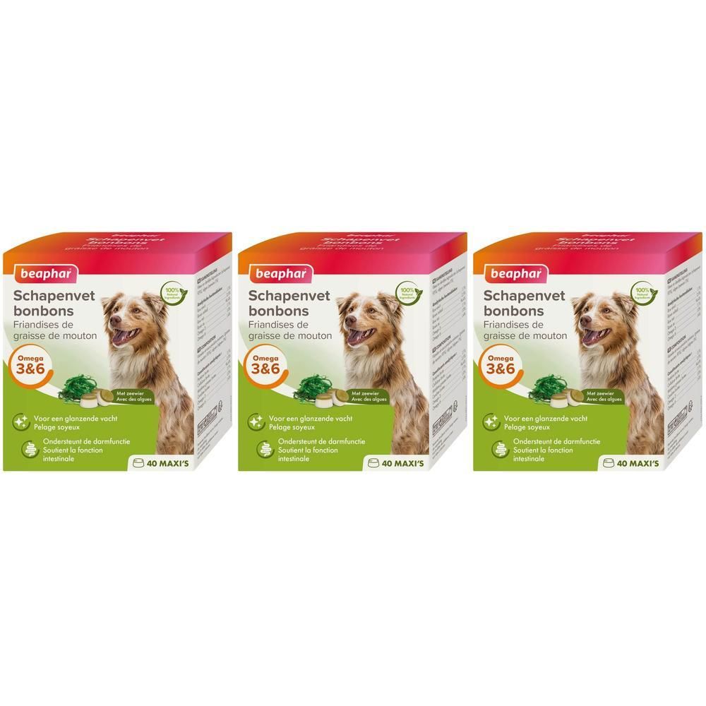 Trois paquets de Beaphar Friandises de Graisse de Mouton pour chiens avec Oméga 3 & 6. Chaque paquet contient 40 friandises Maxi.