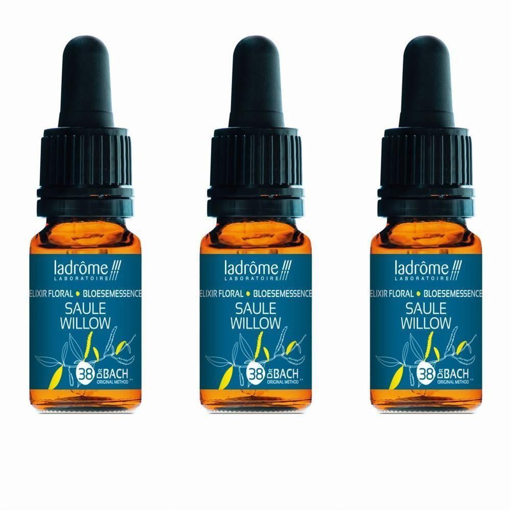 Trois flacons compte-gouttes Ladrôme Saule Willow avec bouchon pipette.