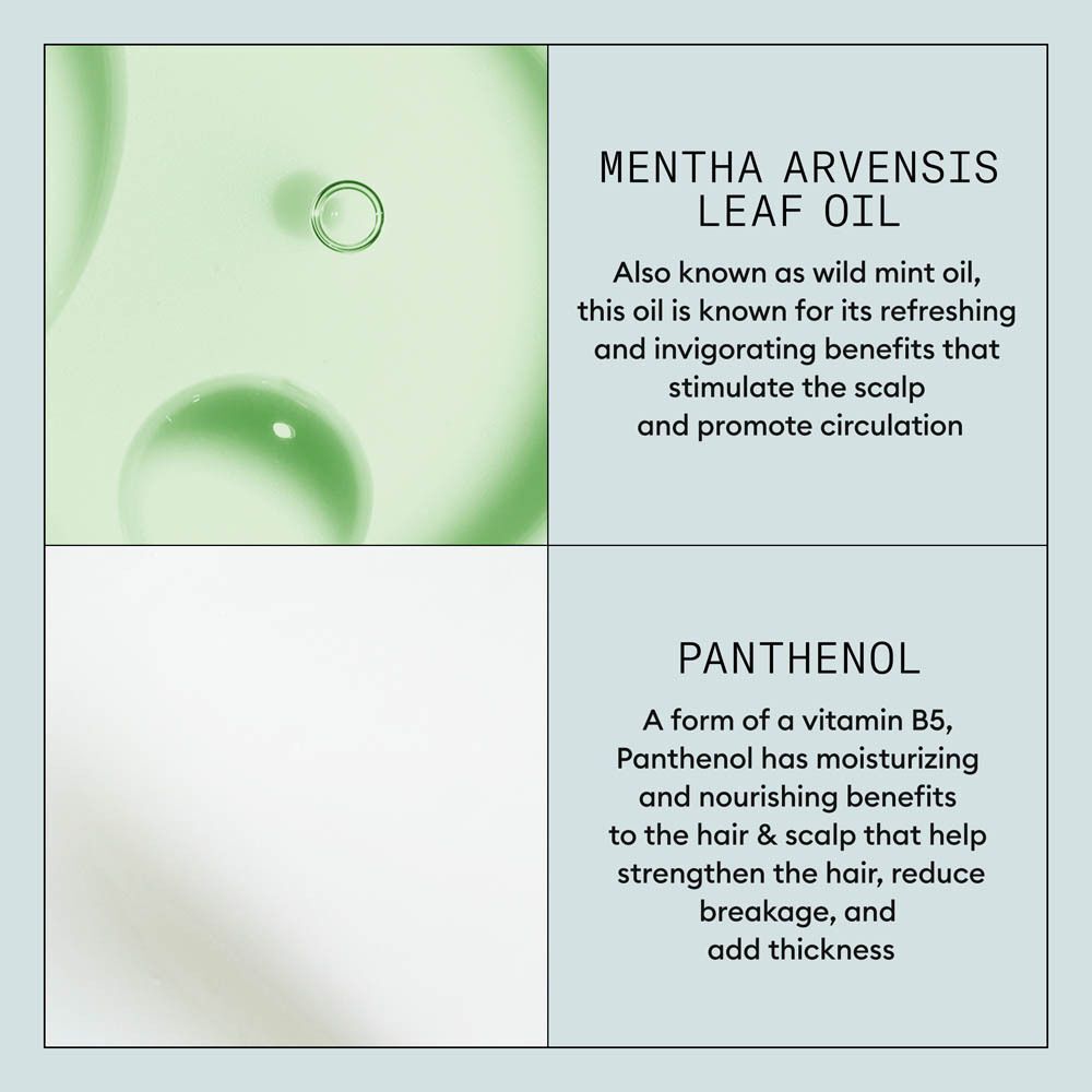 Twee ingrediënten: Mentha Arvensis bladolie en Panthenol, met visuele weergaven van oliedruppels en textuur.