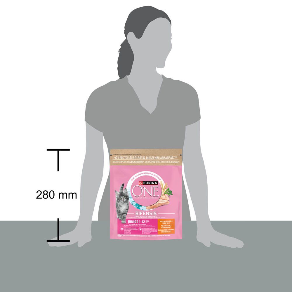 Purina ONE kattenvoer, Junior, 280 mm hoog.