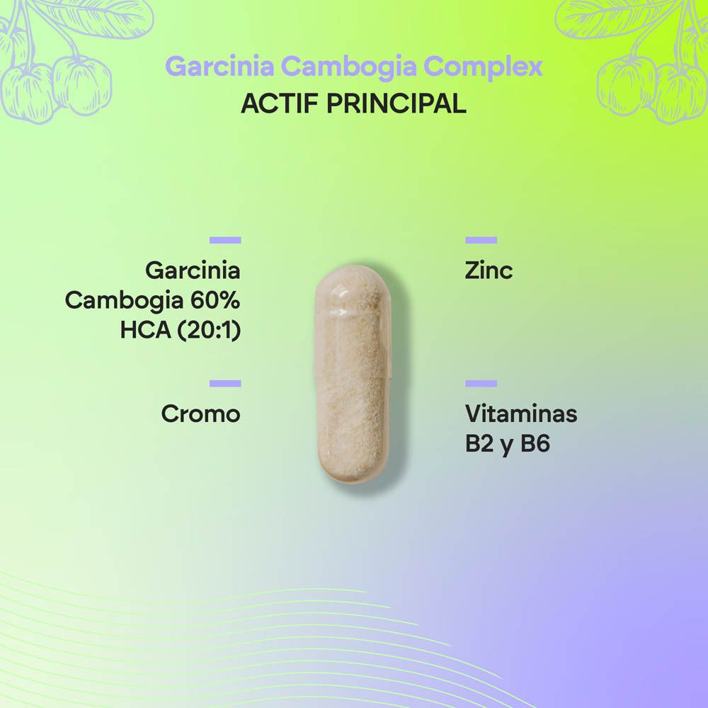Gélule unique avec liste des ingrédients : Garcinia Cambogia 60% HCA, Chrome, Zinc, Vitamines B2 & B6.