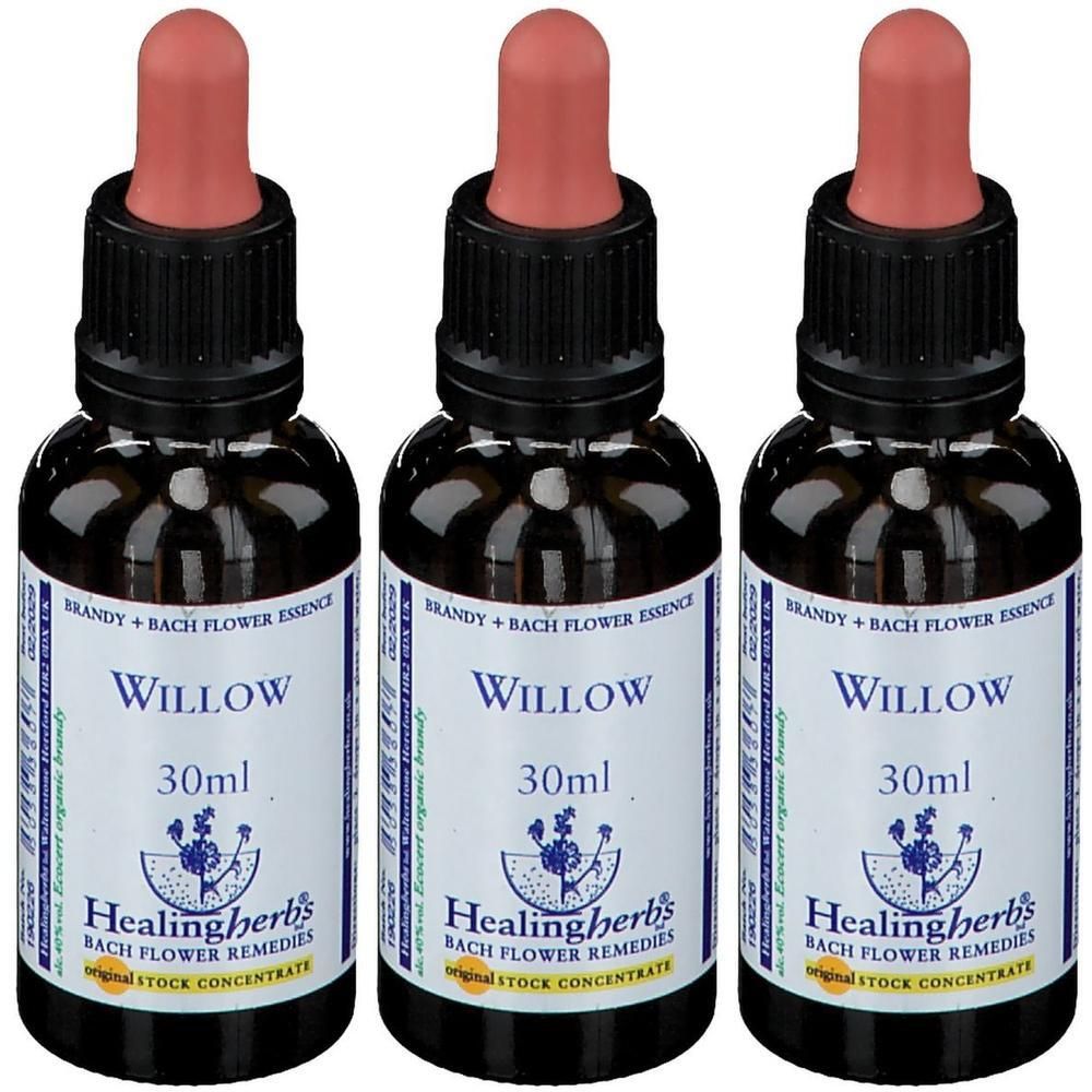Trois flacons de 30ml de concentré de fleurs de Bach Healing Herbs Willow avec pipettes. Flacons en verre brun avec étiquettes.
