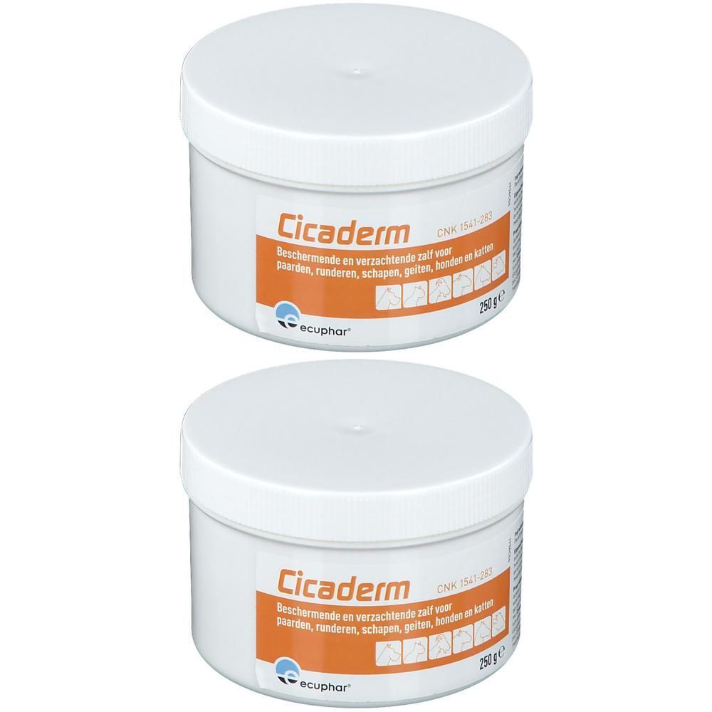 Deux pots blancs de crème Cicaderm, 250g.