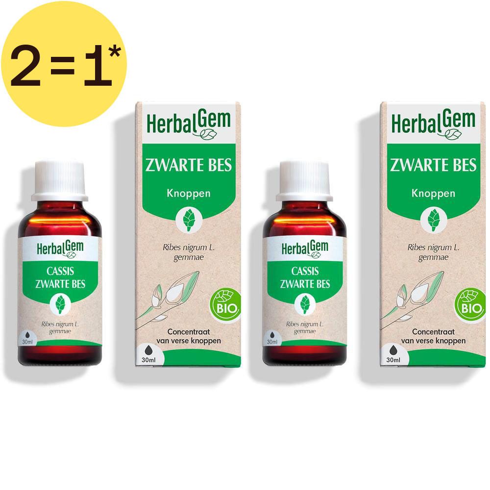 Twee flessen en dozen HerbalGem Zwarte Bes Knoppen. Bio-zegel en 2=1* sticker zichtbaar.
