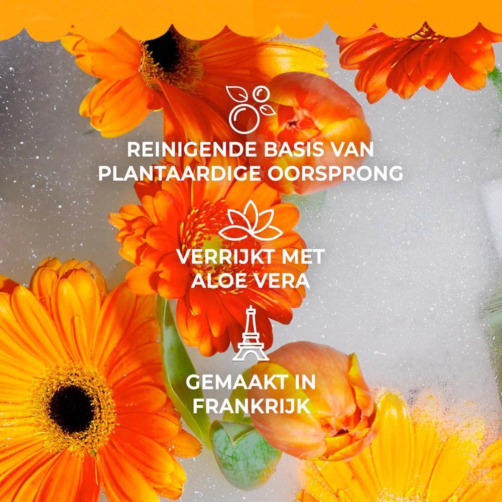 Vrouw met nettas vol sinaasappels, tekst: Vitaminé & Vibrant.
