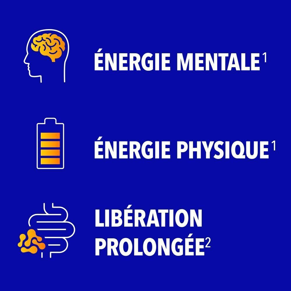 Trois icônes : cerveau pour l'énergie mentale, batterie pour l'énergie physique, intestins pour une libération prolongée.