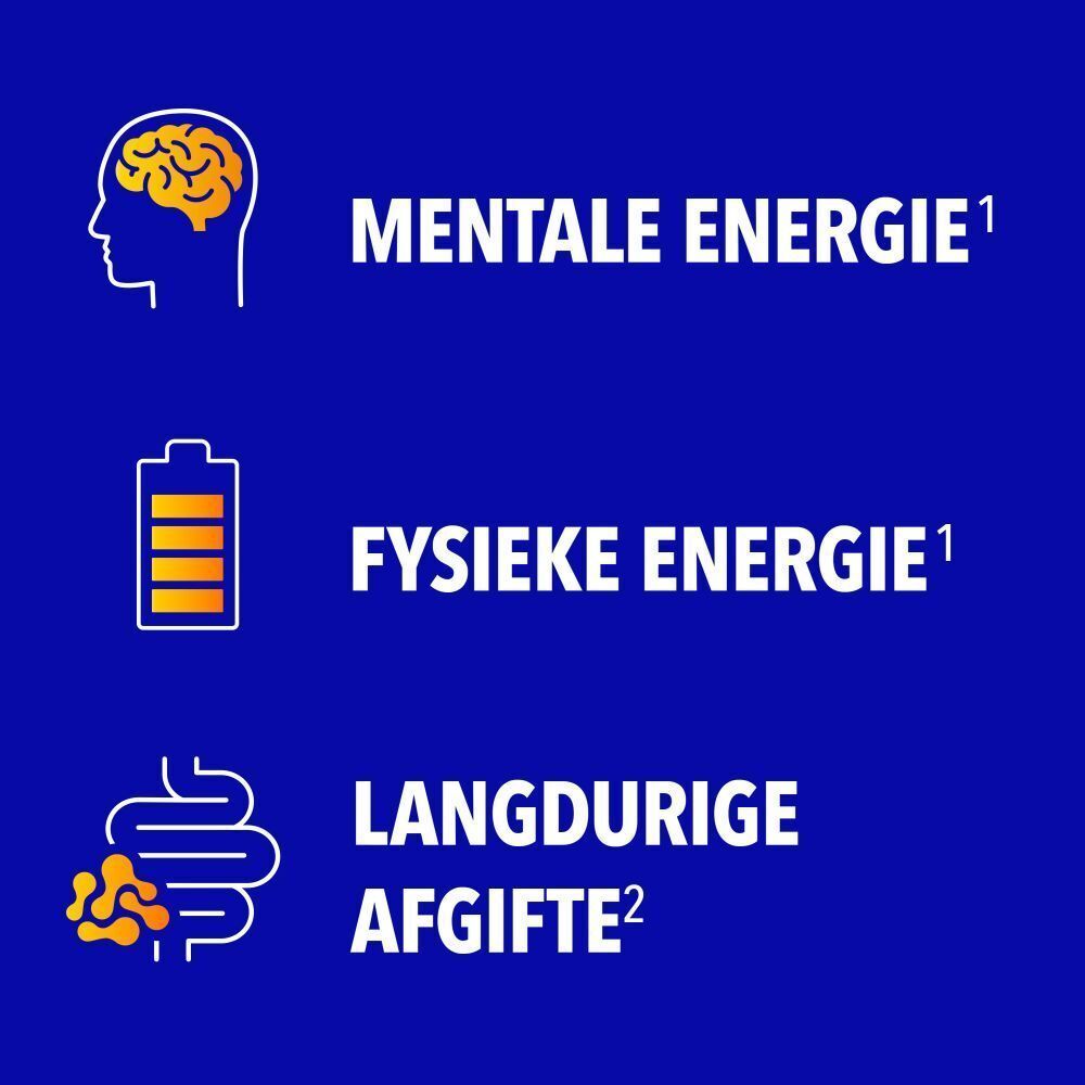 Drie symbolen: hersenen voor mentale energie, batterij voor fysieke energie, darmen voor langdurige afgifte.