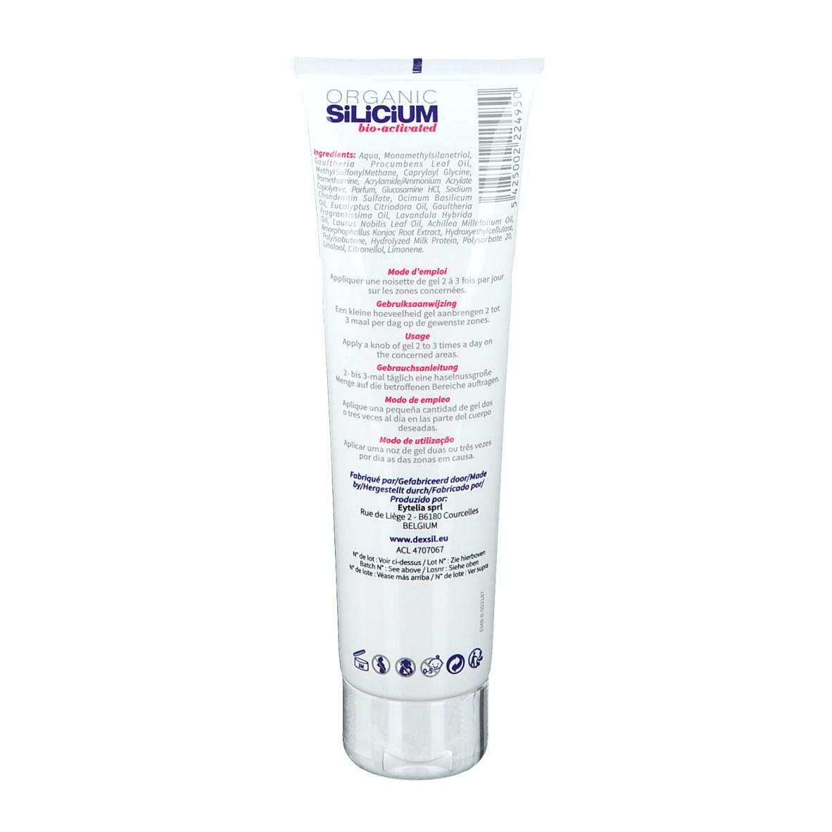 Dexsil Instant Gewrichten & Spieren