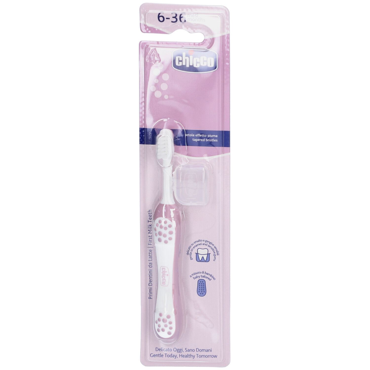CHICCO Première Brosse à Dents 6-36m Lila