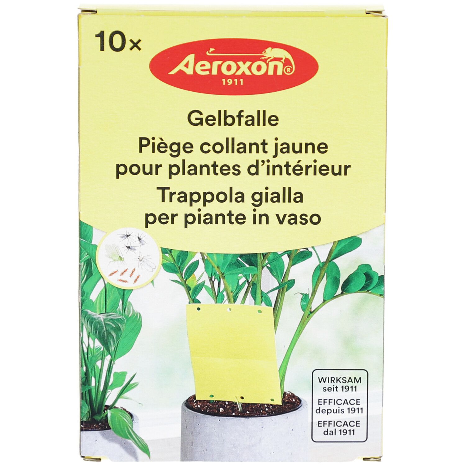 Piège collant jaune pour plantes d'intérieur, emballage de 10. Marque Aeroxon. Piège jaune dans un pot avec plante.