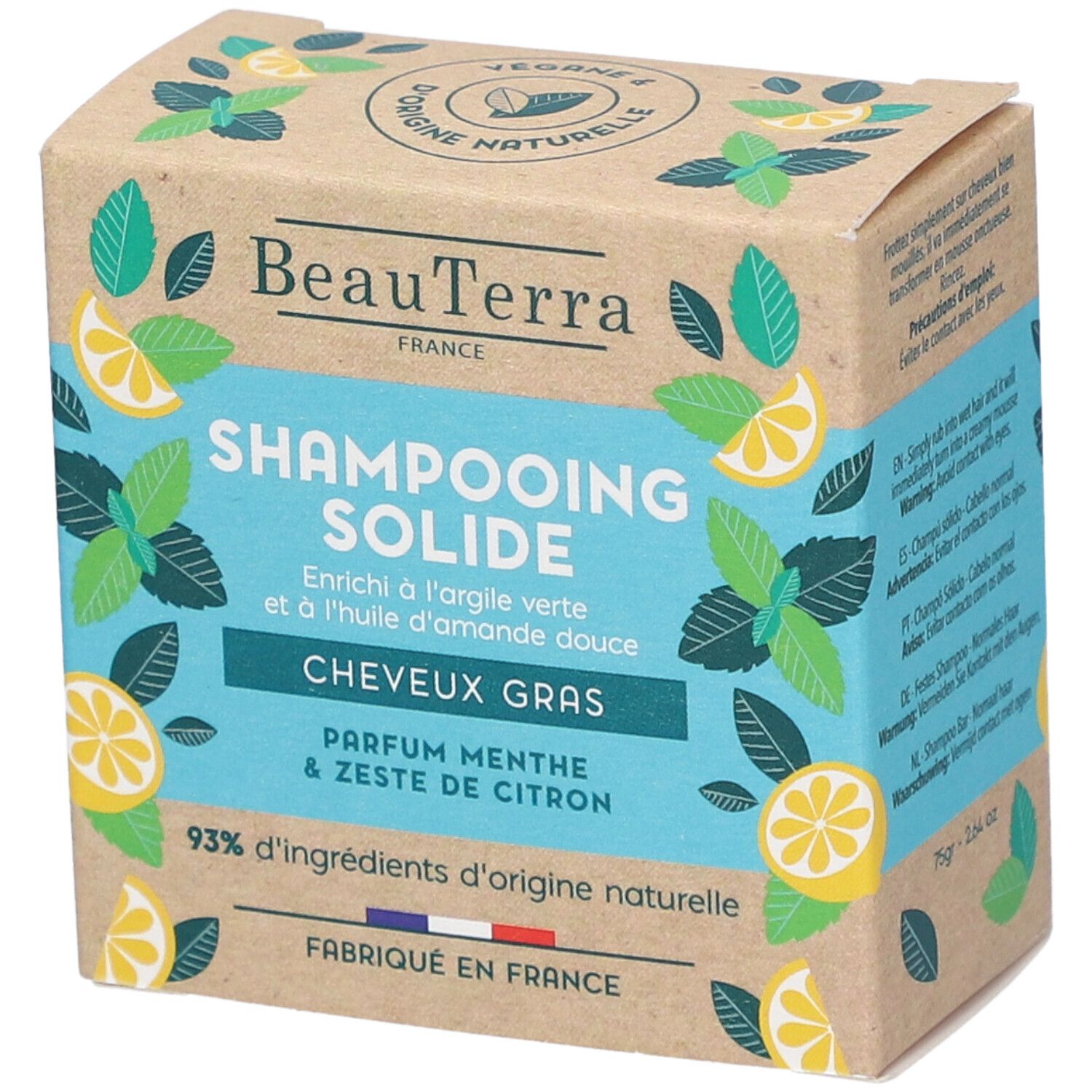 Boîte en carton pour Shampooing Solide. Inscriptions : BeauTerra, Cheveux Gras, Parfum Menthe & Zeste de Citron. 93% d'ingrédients naturels.
