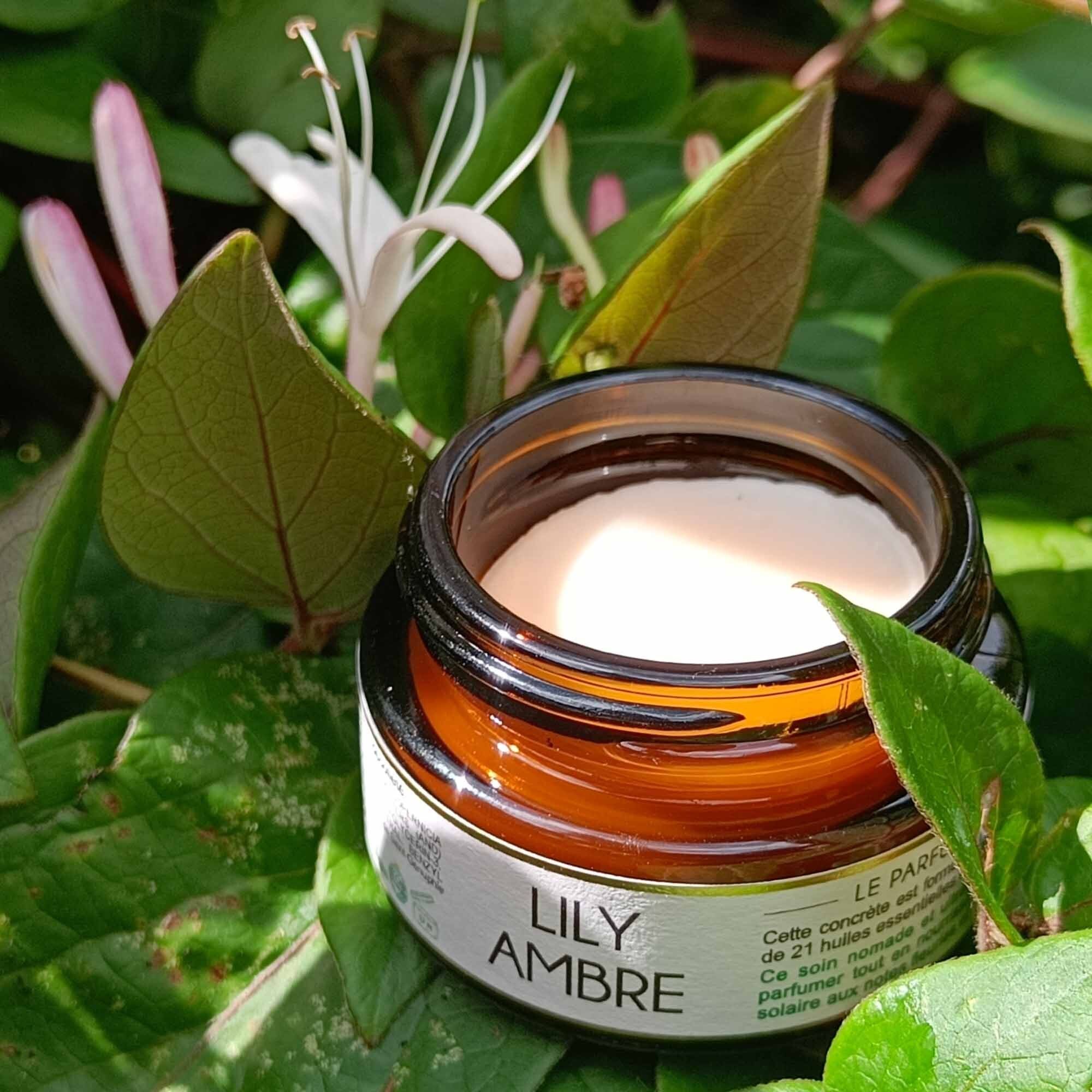 Bruine pot met crème-kleurige inhoud, omringd door groene bladeren en bloemen. Opschrift "LILY AMBRE".
