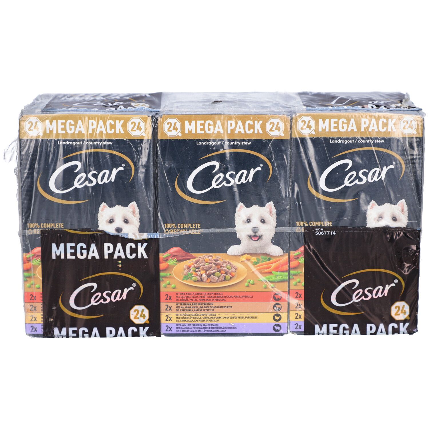 Multipack Cesar Classic. 24 x Landragout. Zwarte verpakking met hond. "MEGA PACK" en "24" zichtbaar.