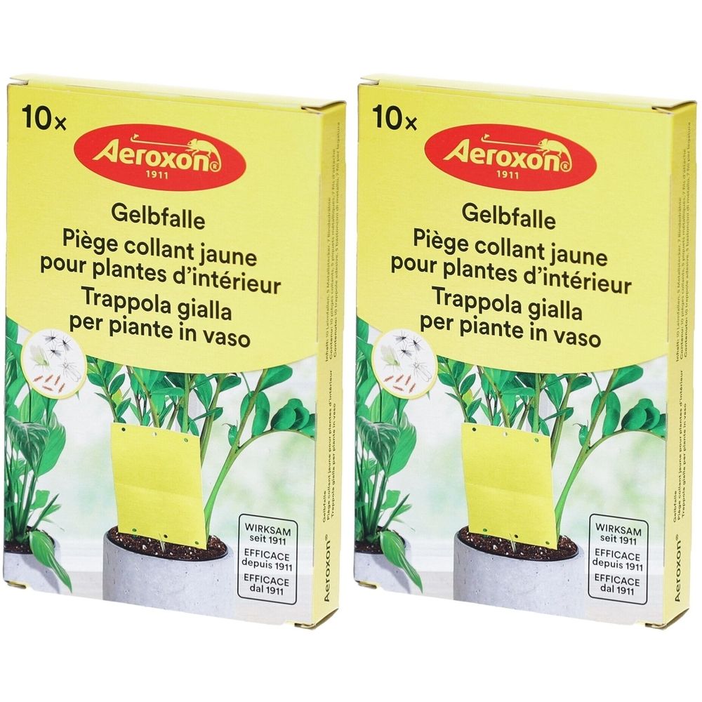Deux boîtes de pièges collants jaunes pour plantes d'intérieur. Inscription : Aeroxon, Gelbfalle, 10 pièces. Plantes en pot.