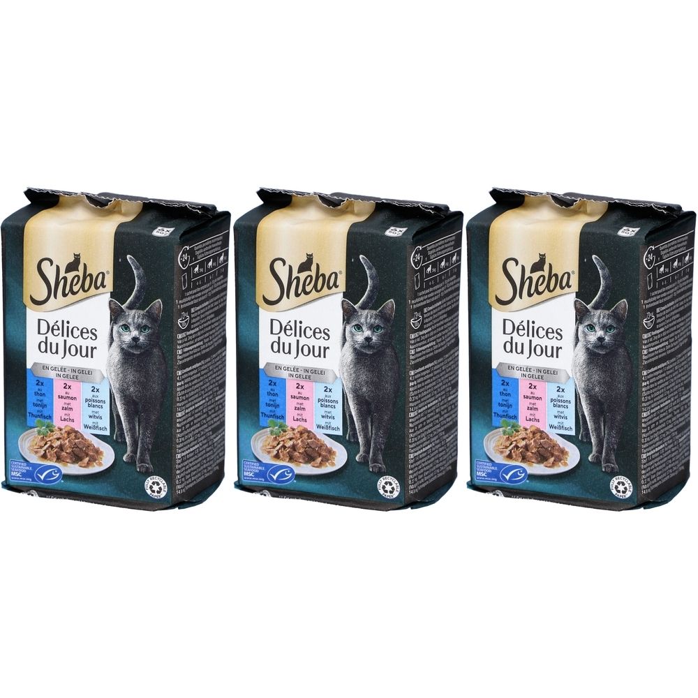 Drie Sheba Délices du Jour kattenvoerzakjes. Bedrukt met kat, productnaam en informatie over de smaken.