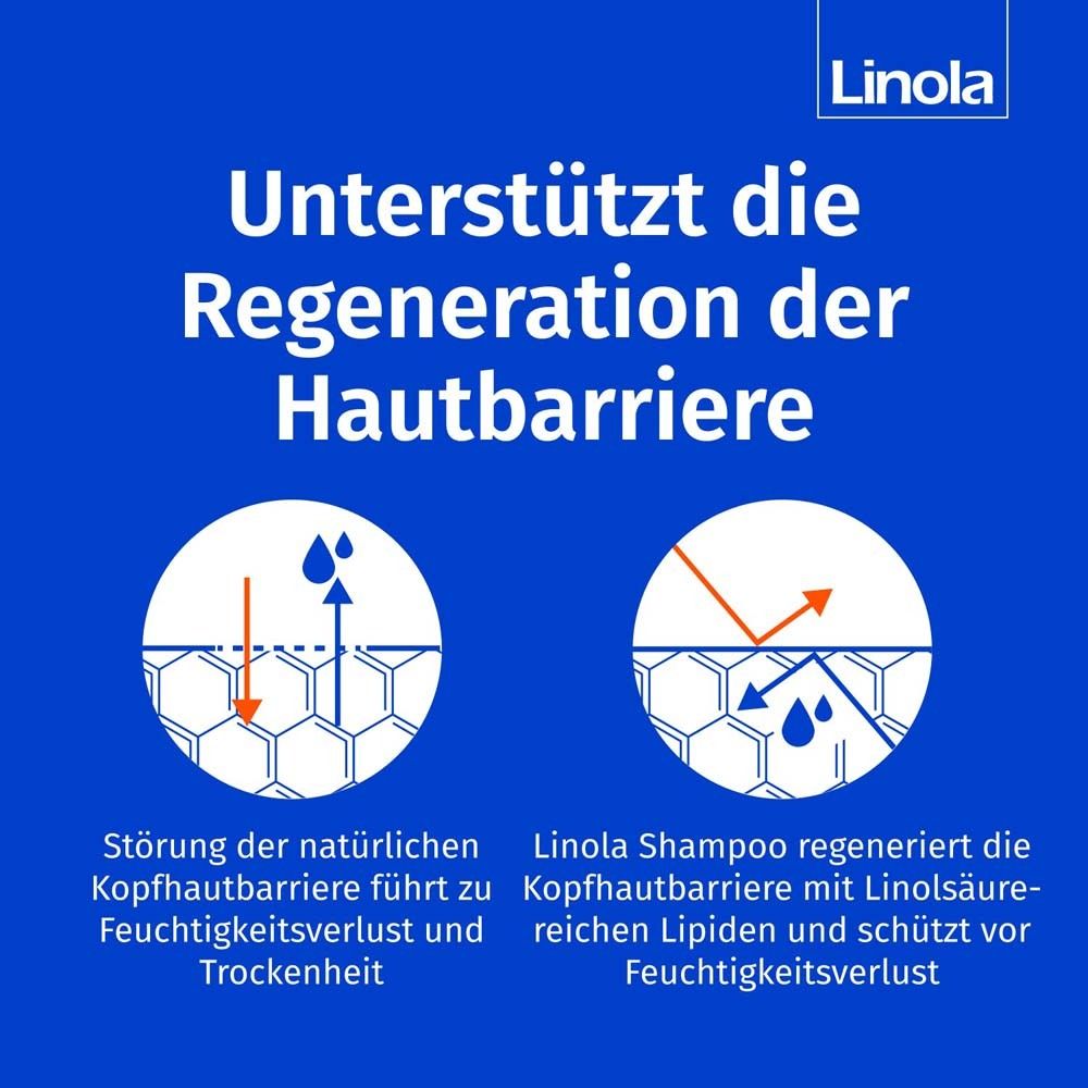 Grafiek: Huidbarrière regeneratie. Linola shampoo regenereert de huidbarrière met linolzuur. Beschermt tegen vochtverlies.