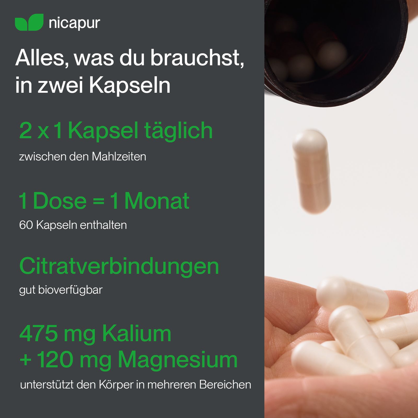 Gélules blanches avec potassium et magnésium, 60 gélules par boîte.