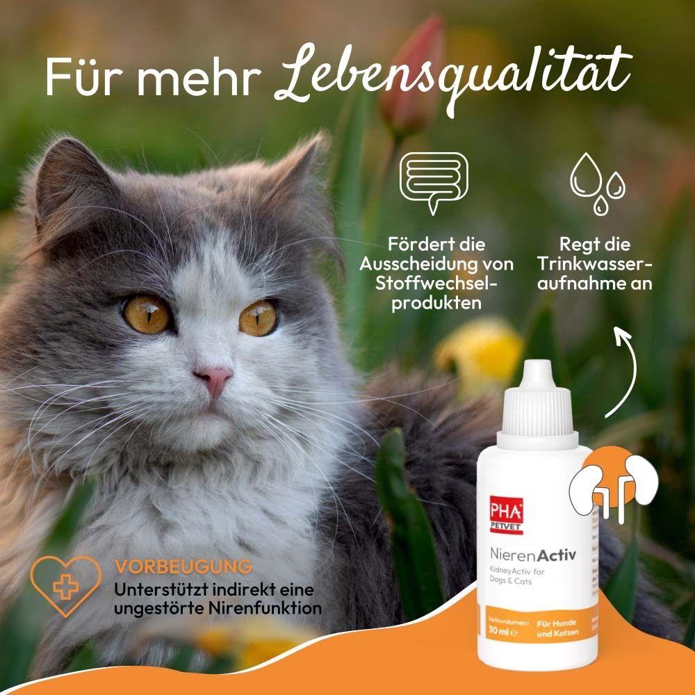 Emballage et flacon de PHA NierenActiv pour chiens et chats, vue de face.