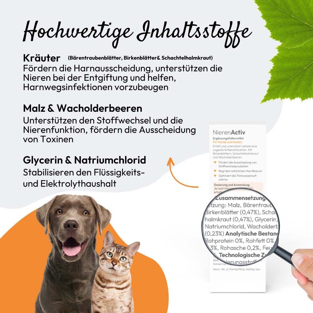 Gros plan des ingrédients de PHA NierenActiv pour chiens et chats avec chien et chat.