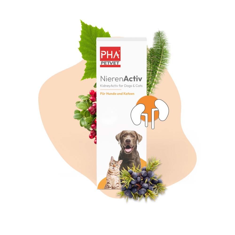 Emballage PHA NierenActiv pour chiens et chats avec herbes et baies.