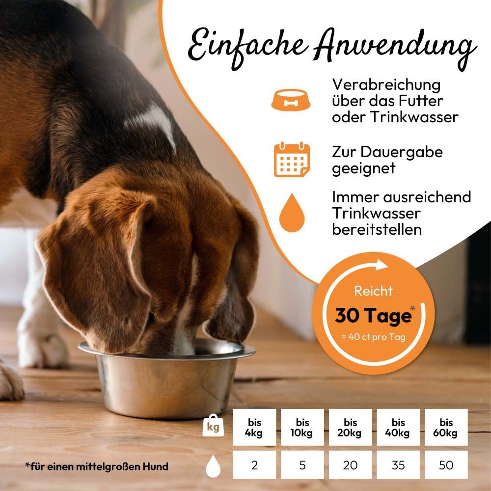 Chien mangeant dans une gamelle, à côté des instructions pour une application facile de PHA NierenActiv.