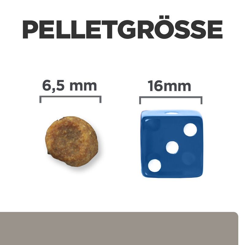 Grafiek: KORRELGROOTTE. Vergelijking van voerbrokjes (6,5 mm) en een blauwe dobbelsteen (16 mm) met witte stippen.