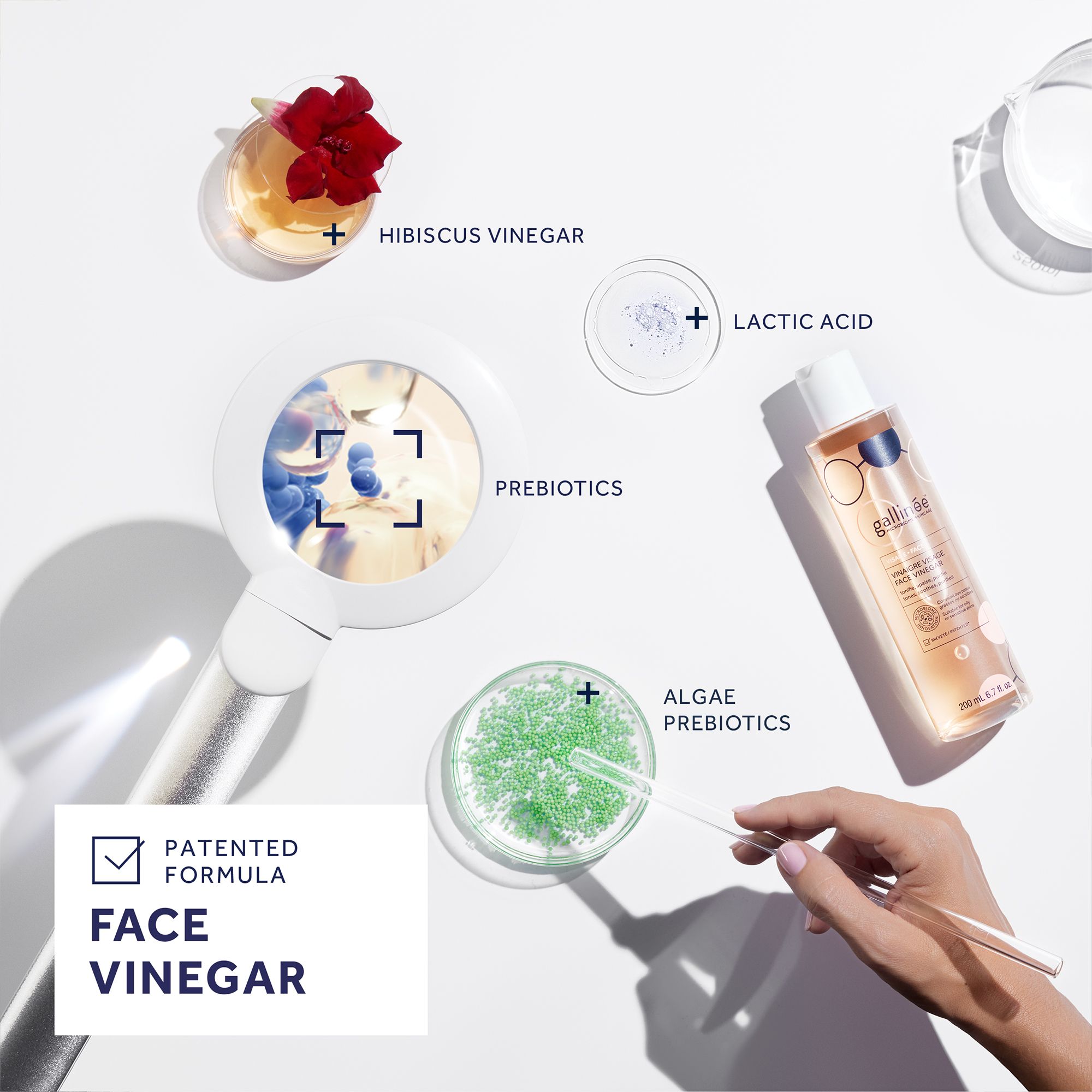 Divers contenants avec ingrédients. Flacon Face Vinegar, hibiscus, acide lactique, algues.