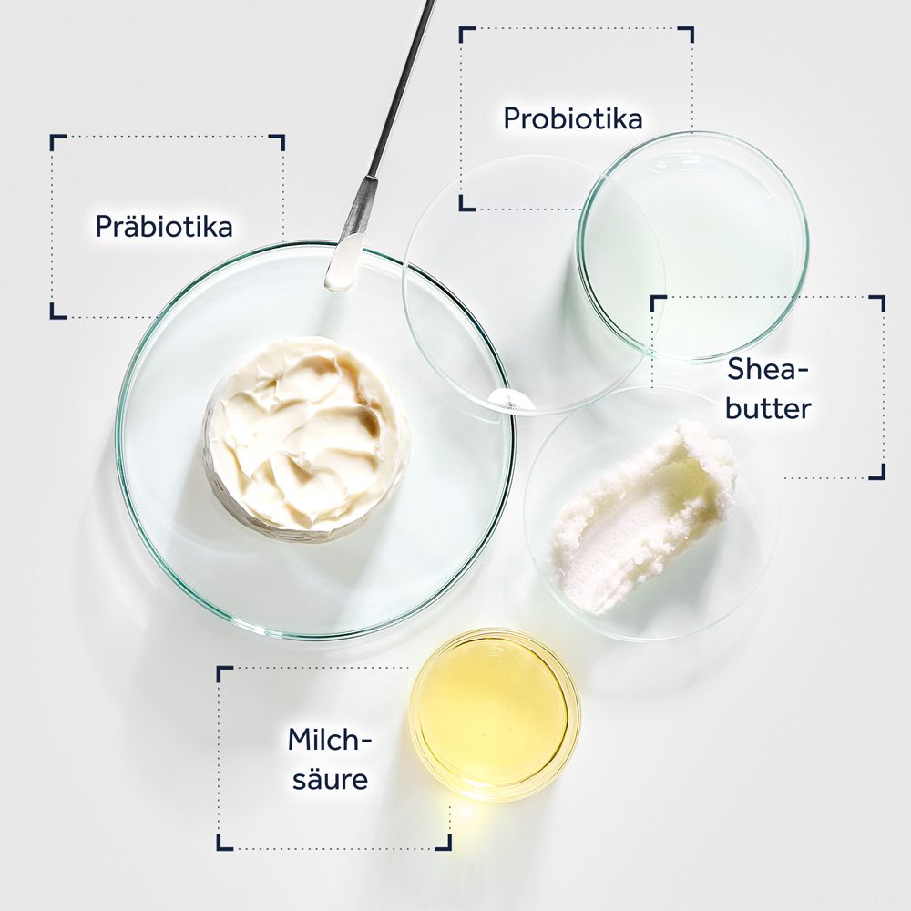 Boîtes de Pétri avec prébiotiques, beurre de karité, acide lactique et un échantillon de crème.