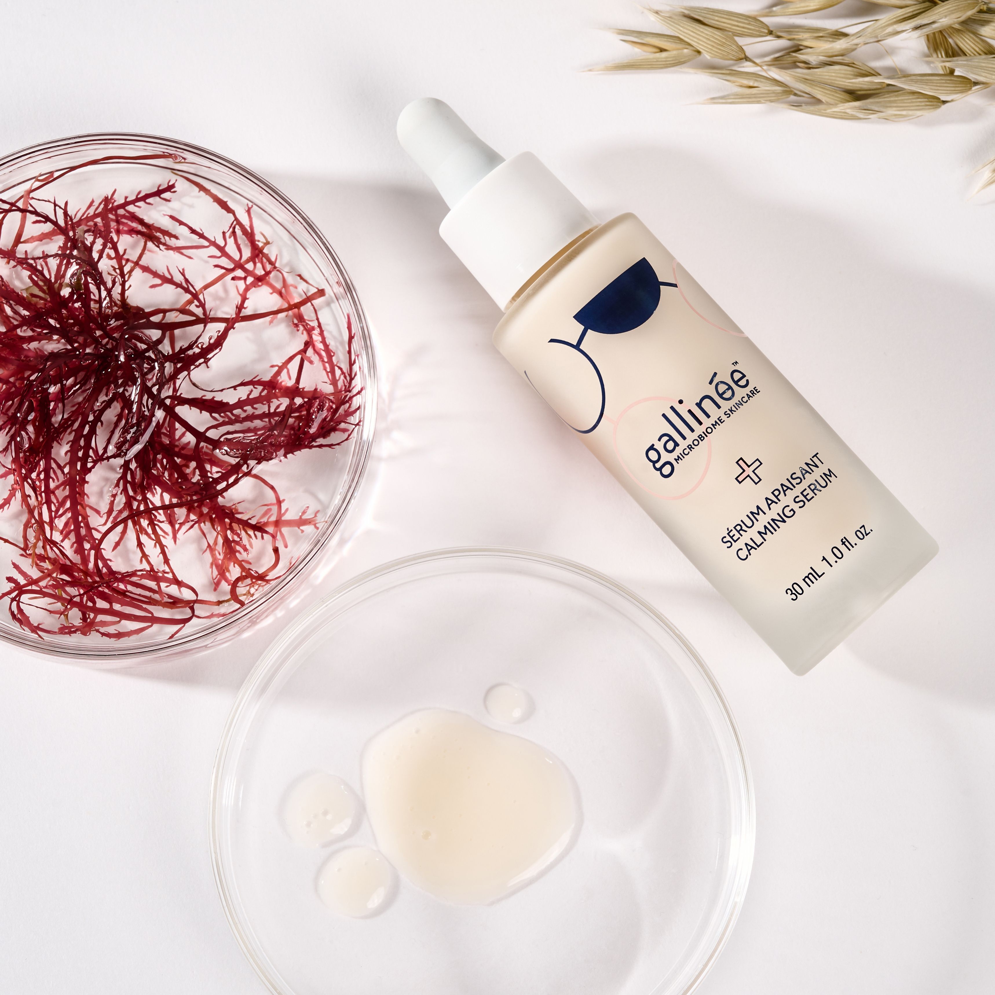 Serumfles, petrischaal met algen, serumdruppels. Merk: Gallinée. Opschrift: Calming Serum.