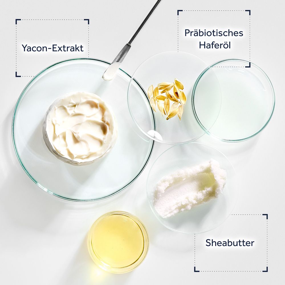Produits de soin de la peau Gallinée et ingrédients tels que le beurre de karité et l'huile d'avoine dans des boîtes de Pétri.