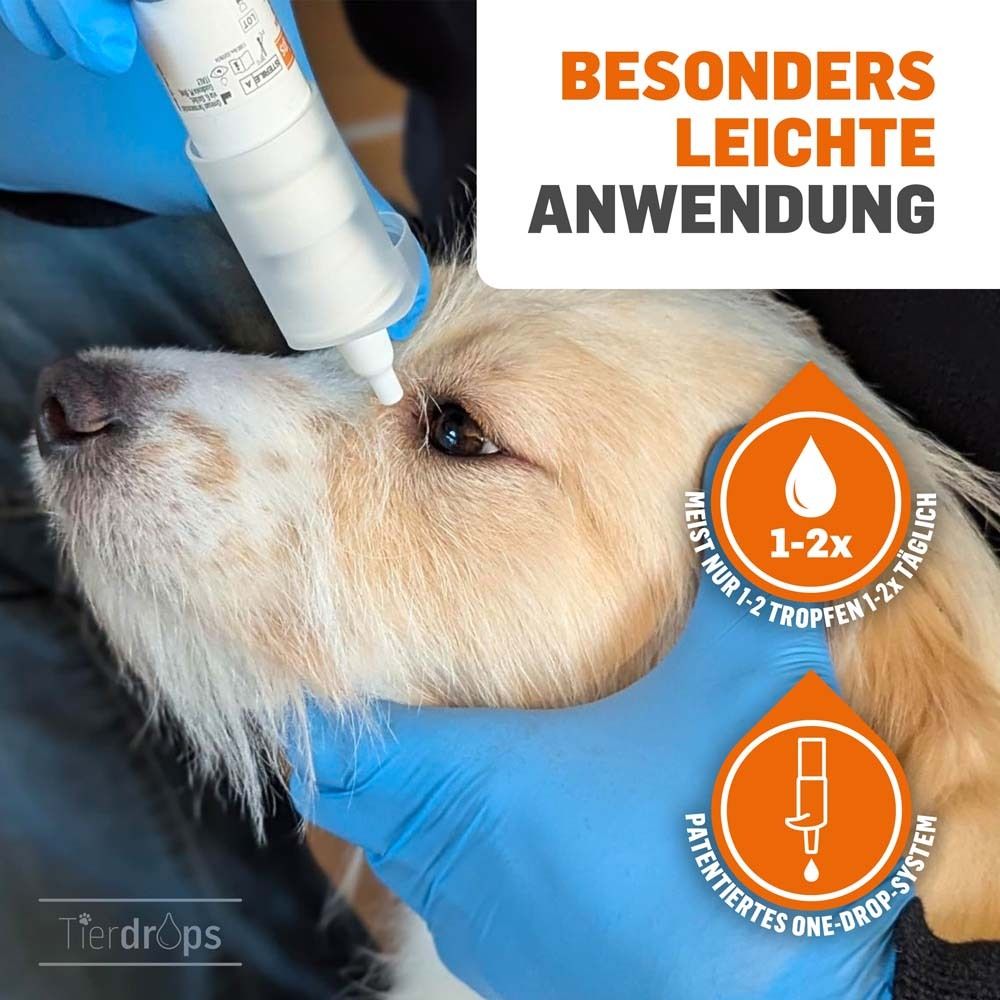 Un chien reçoit une application de gouttes oculaires par une main gantée de bleu. "Application particulièrement facile" et "Système breveté One-Drop" sont visibles.