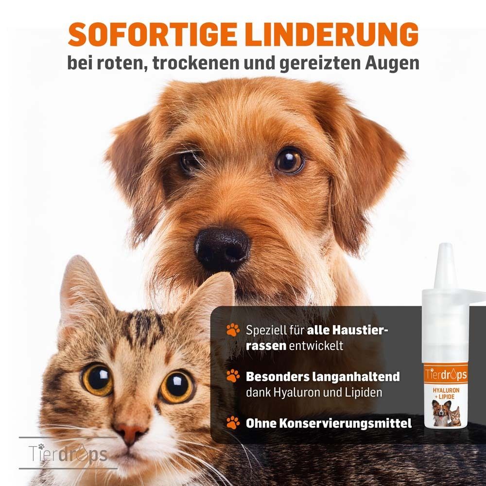 Flacon de gouttes oculaires pour animaux avec hyaluron et lipides, à côté d'un chien et d'un chat.