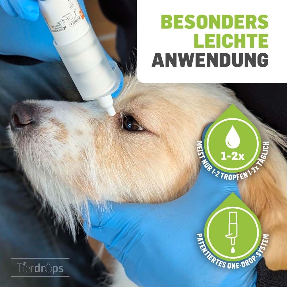 Toepassing van oogdruppels op een hond. Blauwe handschoenen. Tekst: Zeer eenvoudige toepassing. 1-2 druppels per dag.