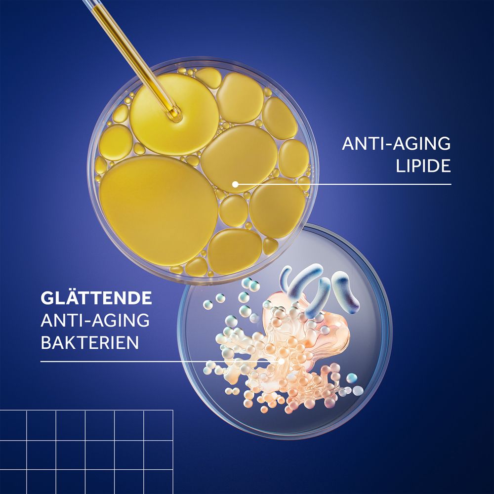 Grafische weergave. Twee cirkels. Boven: Anti-aging lipiden. Onder: Gladmakende anti-aging bacteriën.