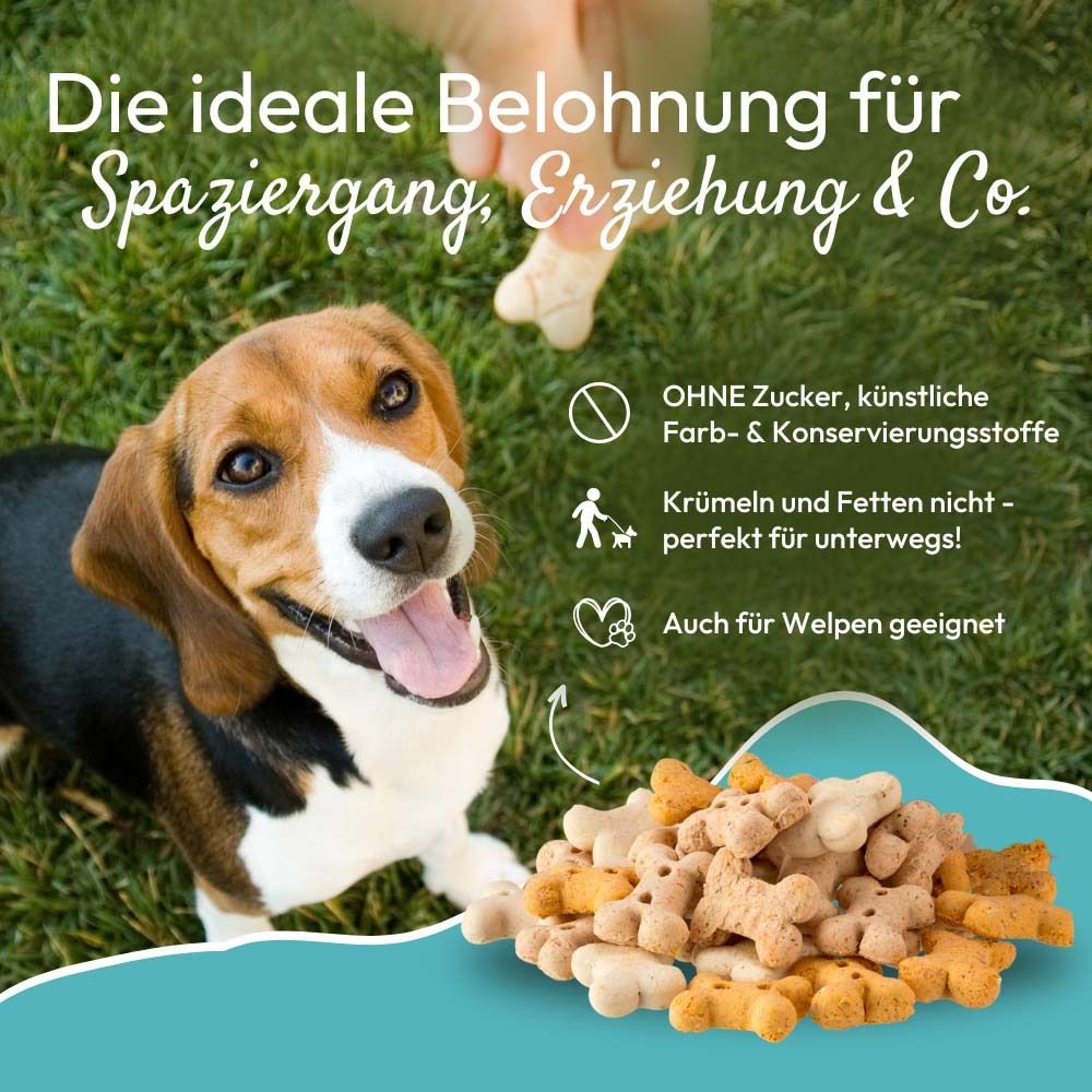 Hond met snacks. Tekst: De ideale beloning. Zonder suiker, kunstmatige kleur- en conserveermiddelen. Ook voor pups.