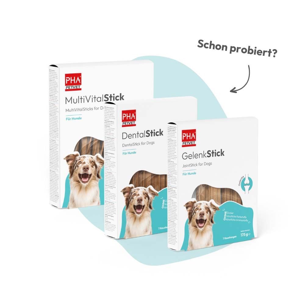 Drie productverpakkingen: MultiVitalStick, DentalStick, GelenkStick. Alle met logo en afbeelding van een hond.