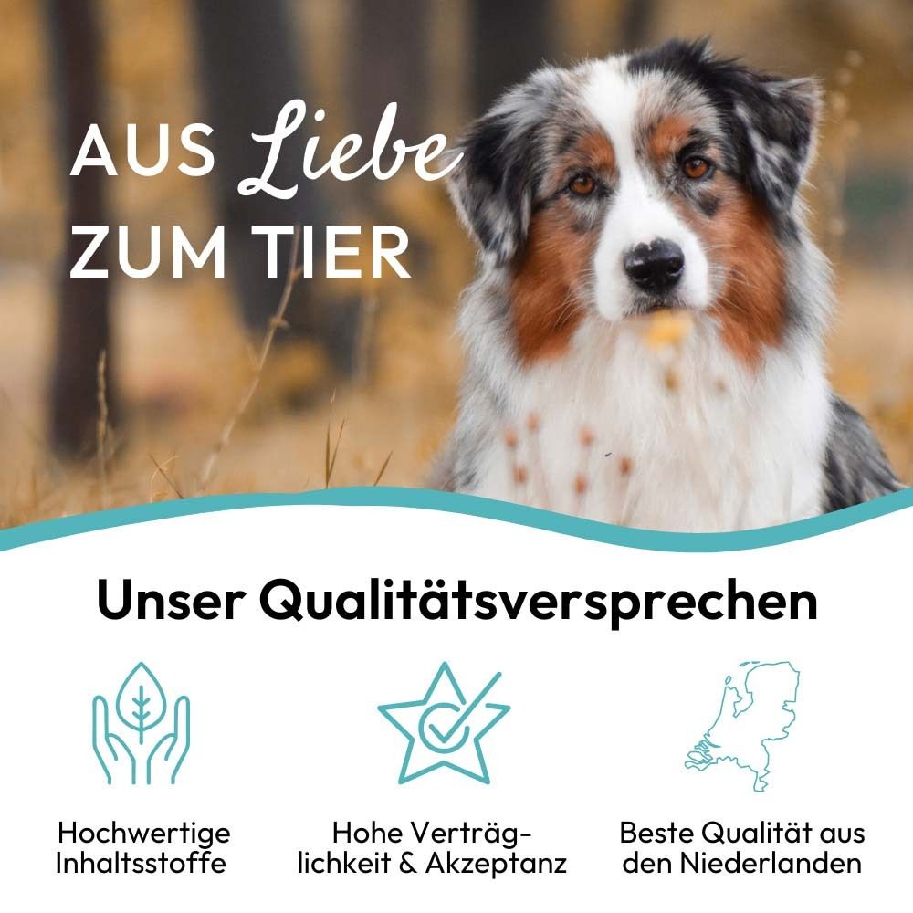Achtergrond met hond. Tekst: Uit liefde voor het dier. Onze kwaliteitsbelofte. Hoogwaardige ingrediënten. Beste kwaliteit.