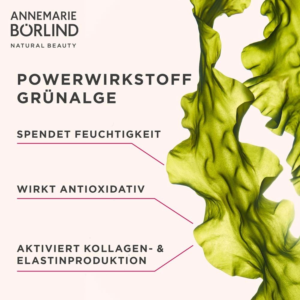 Groene algen. Tekstuele aanwijzingen over de eigenschappen. Op lichte achtergrond.